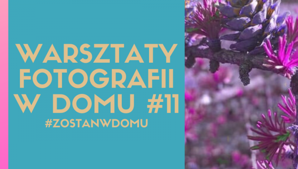 DOSKONALIMY W DOMU SWÓJ WARSZTAT FOTOGRAFICZNY #11 #zostanwdomu